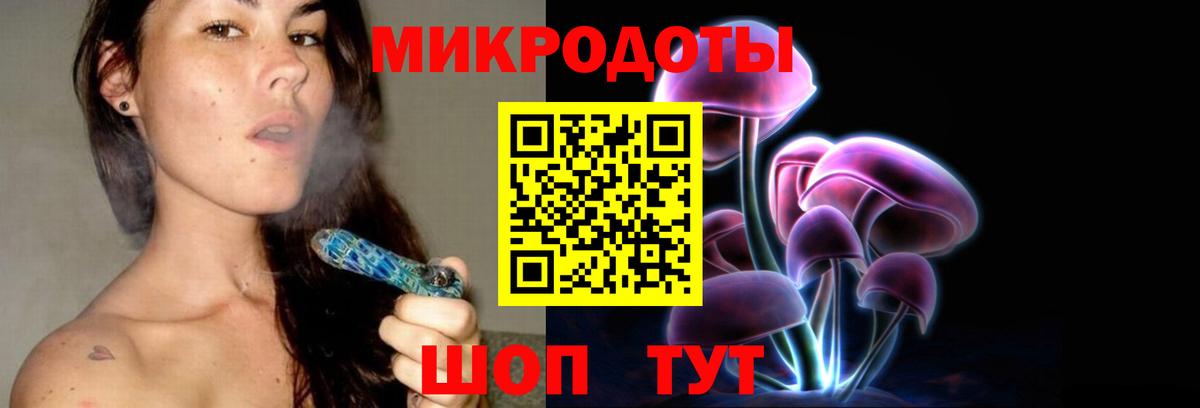 Новороссийск  Псилоцибиновые грибы Psilocybine cubensis  Вход с VPN 